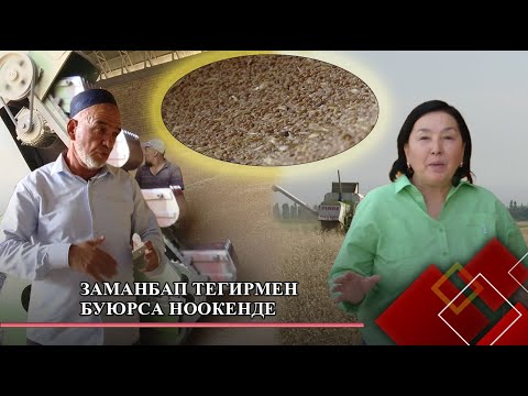 Заманбап тегирмен буюрса Ноокенде | Чарбакер