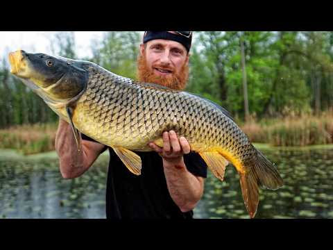 BOW FISHING 1000's of Giant Invasive Carp (and eating them!)