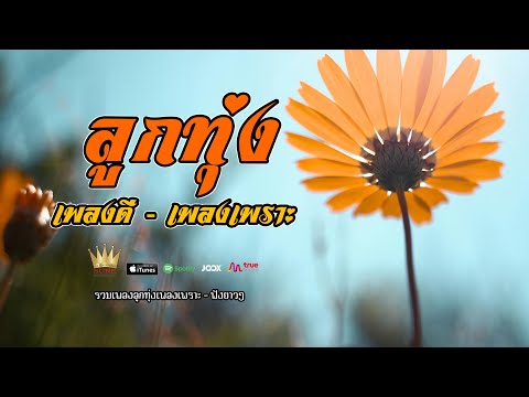 ลูกทุ่งเพลงดัง - ฟังเพราะ รวมเพลงลูกทุ่งดีฟังเพลินยาวๆ