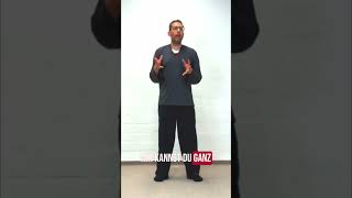 #1 Tai Chi - Das 3 Kreise Prinzip für deine Form
