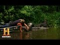 Cypress Logging Challenges and Lessons