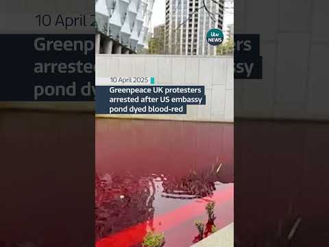 Six people have been arrested after a pond was dyed red in London #itvnews #london