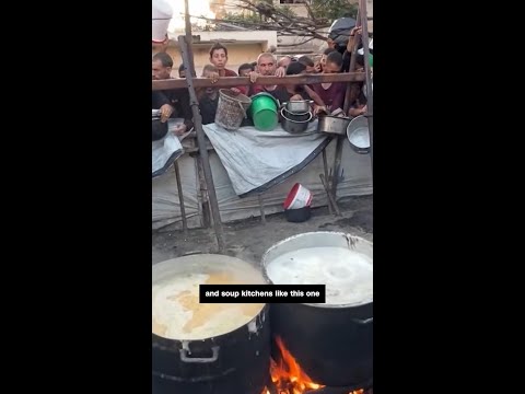 People fight for scraps of food in Gaza