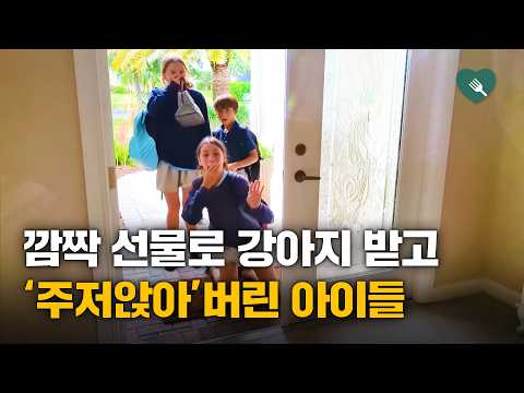집에 오니 처음 보는 강아지가…깜짝 선물 아이들의 반응