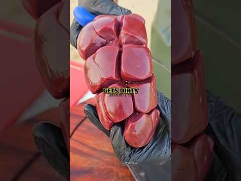 🧂Joe Rogan on How to Keep Wild Meat🦌