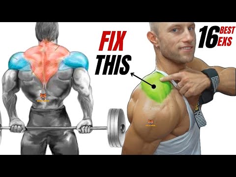 TRAPS WORKOUT- 16 best traps exercises at gym