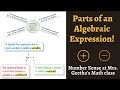 Exploring Algebraic Expressions and Like Terms
