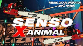 DJ SENSO X ANIMAL SOUND HOREG | DJ BREWOG AUDIO TERBARU VIRAL 2025