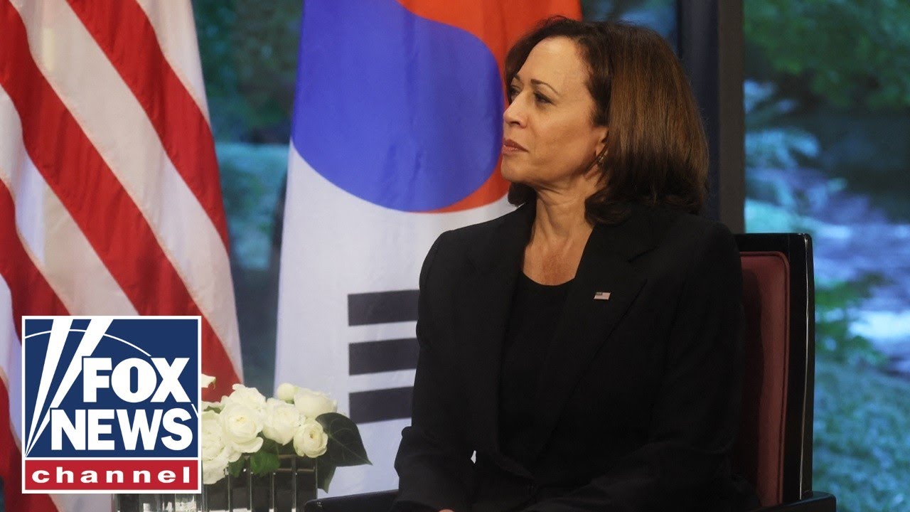 VP Harris mistakenly touts US alliance with North Korea￼