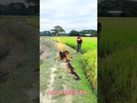 টেলিভিশন আগুন লাগিয়ে দিলো কেন 🤣#banglafunnyvideo #vairalvideo #mojarvideos #funnyshortsvideo