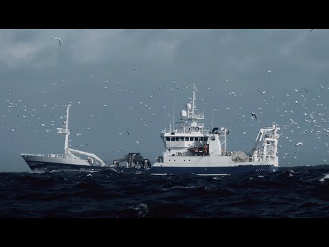 Ocean Transparency: Coalition for Fisheries Transparency