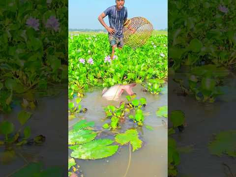 #গরমের_গান #comedysong