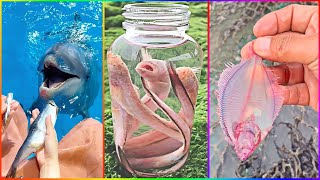 Catching Seafood 🦀🐙 ASMR Relaxing (Catch Shark, Fish, Deep Sea Monster) #867
