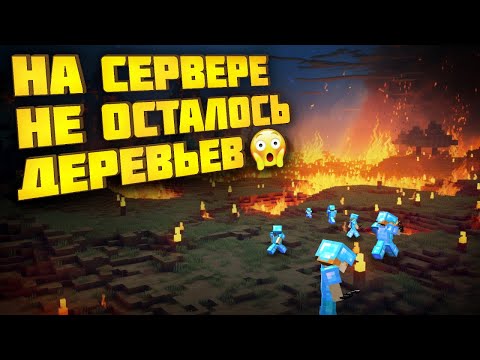 АНАРХИЯ - МЫ РЕШИЛИ ВЫЖЕЧЬ ВЕСЬ ЛЕС