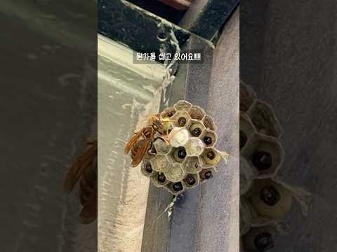 무슨 소리가 나서 위를 올려다 봤더니..😱