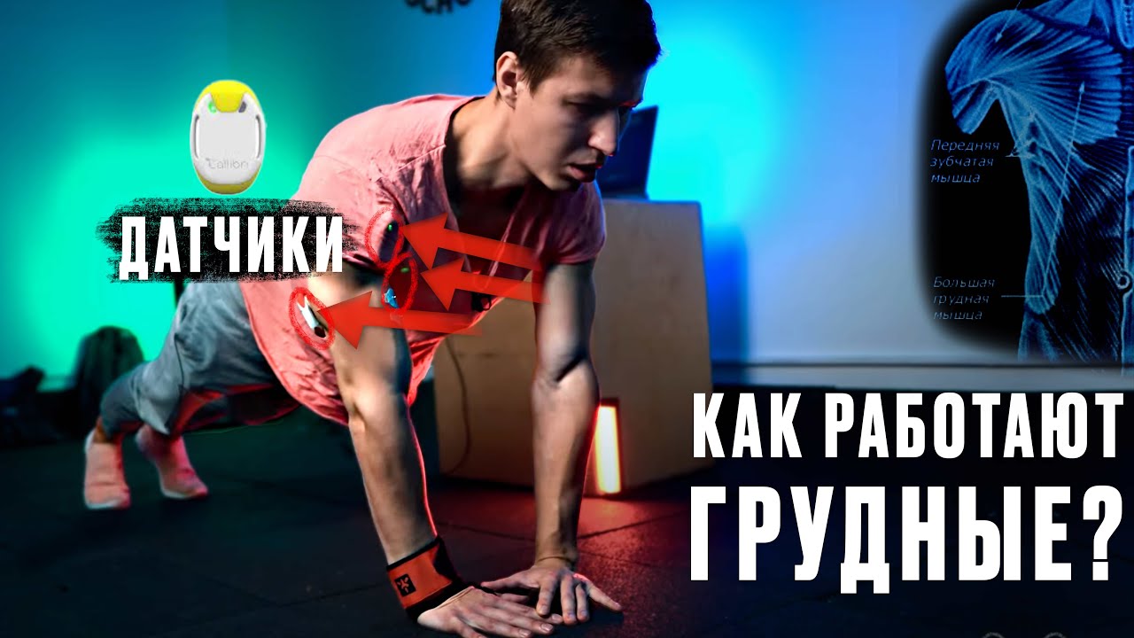 Узкие отжимания на грудь не работают? Проверка всех отжиманий на миографе!