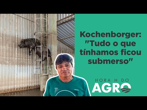 Agropecuária é o setor mais afetado pelas chuvas no RS | HORA H DO AGRO