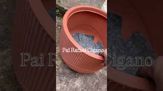 Plantar é uma terapia