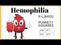 Understanding Hemophilia and Punnett Squares