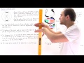 DNA Structure and Function Concepts