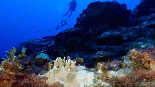 YouTube video thumbnail: Record-High Ocean Heat Could Fuel sea Level Rise and Extreme Weather on Land
