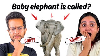 You Should Know These Answers (We Did Not)