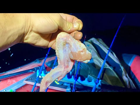 ЗА ТАКУЮ РЫБУ СРАЗУ ПОСАДЯТ ⁉️⁉️рыбалка на Дону ловля сома сазана