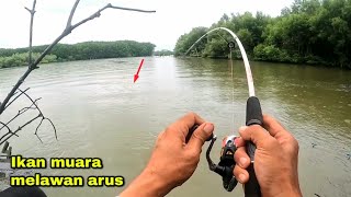 Kalau mau dapat ikan ini harus mancing di muara