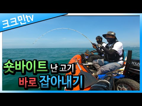 마량포구 광어 우럭 다운샷 보트 낚시