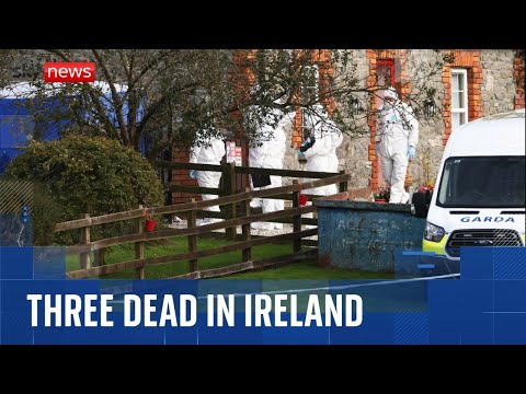 Three found dead in home in Ireland - as man in his 30s arrested