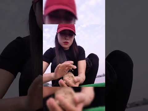 Truy tìm cá nước ngọt lớn nhất Thế Giới tại hồ Bungsamrang Thái Lan #fishing #lkhoa #shorts