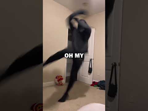 Ninja proves himself