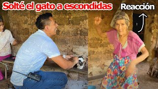 Solté el gato a escondidas de doña María, vean como reacciono – Ediciones Mendoza