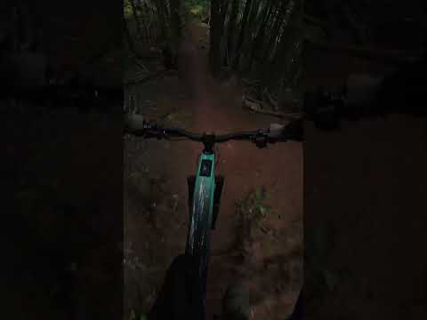 Spicy lines riding blind on the Forbidden Druid CORE!  #mtb #emtb #mtblove