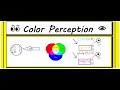 Color Perception Under Different Light Sources
