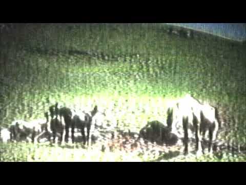 FANTA ROSARIO, PONLOS - SIN LOCATION (Visualizer)