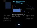 Understanding Similar Triangles and Area Calculation