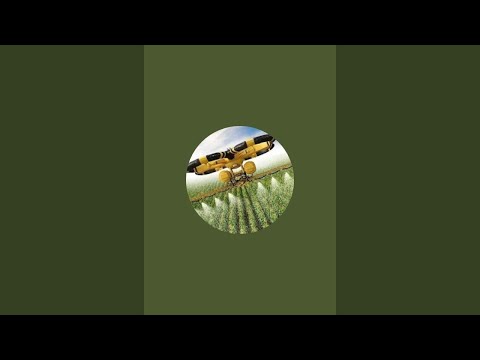 unique in world  is live