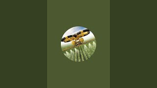 unique in world  is live