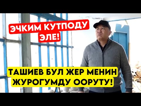 Ташиев бул нерсе менин ЖҮРӨГҮМДУ ООРУТУ акыбалы өтө чатак деп! Бүгүн капсула салды