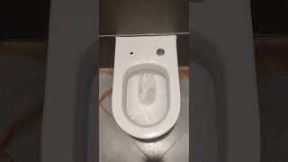 Toilet Flushing #toilet #flushing #flushingtoilets  #shorts