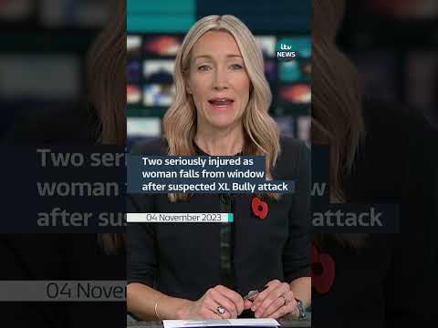Two seriously injured after suspected XL Bully attack #itvnews #xlbully