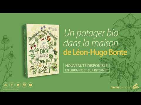 Vido de Lon-Hugo Bonte