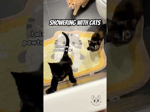 My little meowguards ๐๐ธ