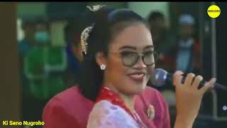 Sehono ora wani muleh mergo nek pagelaran digudoni sinden tatin