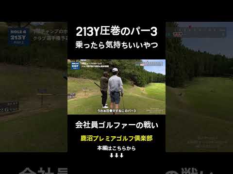 213Y圧巻パー3を攻略せよ #日経カップ #ゴルフ #社会人ゴルファー