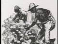 Understanding Southern Perspectives on Slavery