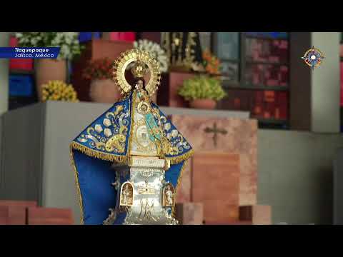SANTA MISA | 50 ANIVERSARIO ORDENACION SACERDOTAL Emmo. Sr. José Robles Ortega.