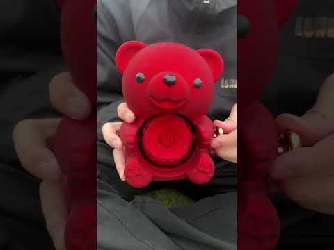 Wait till you see what this adorable bear is hiding! It's the cutest gift EVER! 😍🌹 #lover #shorts