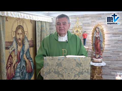 "Si no Vives como Piensas, Pensarás como Vives" | Homilía, Viernes, XXIII del T.O | P. Santiago M